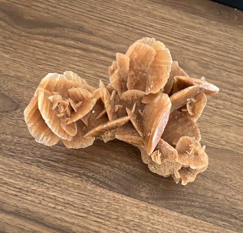 Wüstenblume